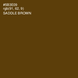 #5B3E09 - Saddle Brown Color Image